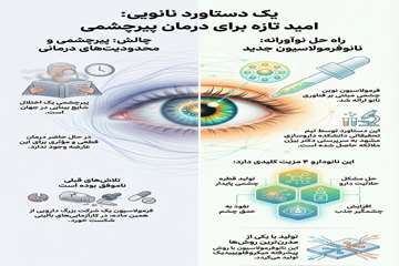 info (40)